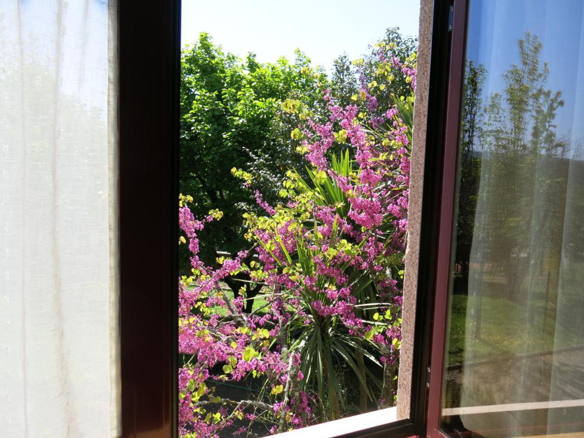 Casa Dos Tinocos Villa Braga Kültér fotó