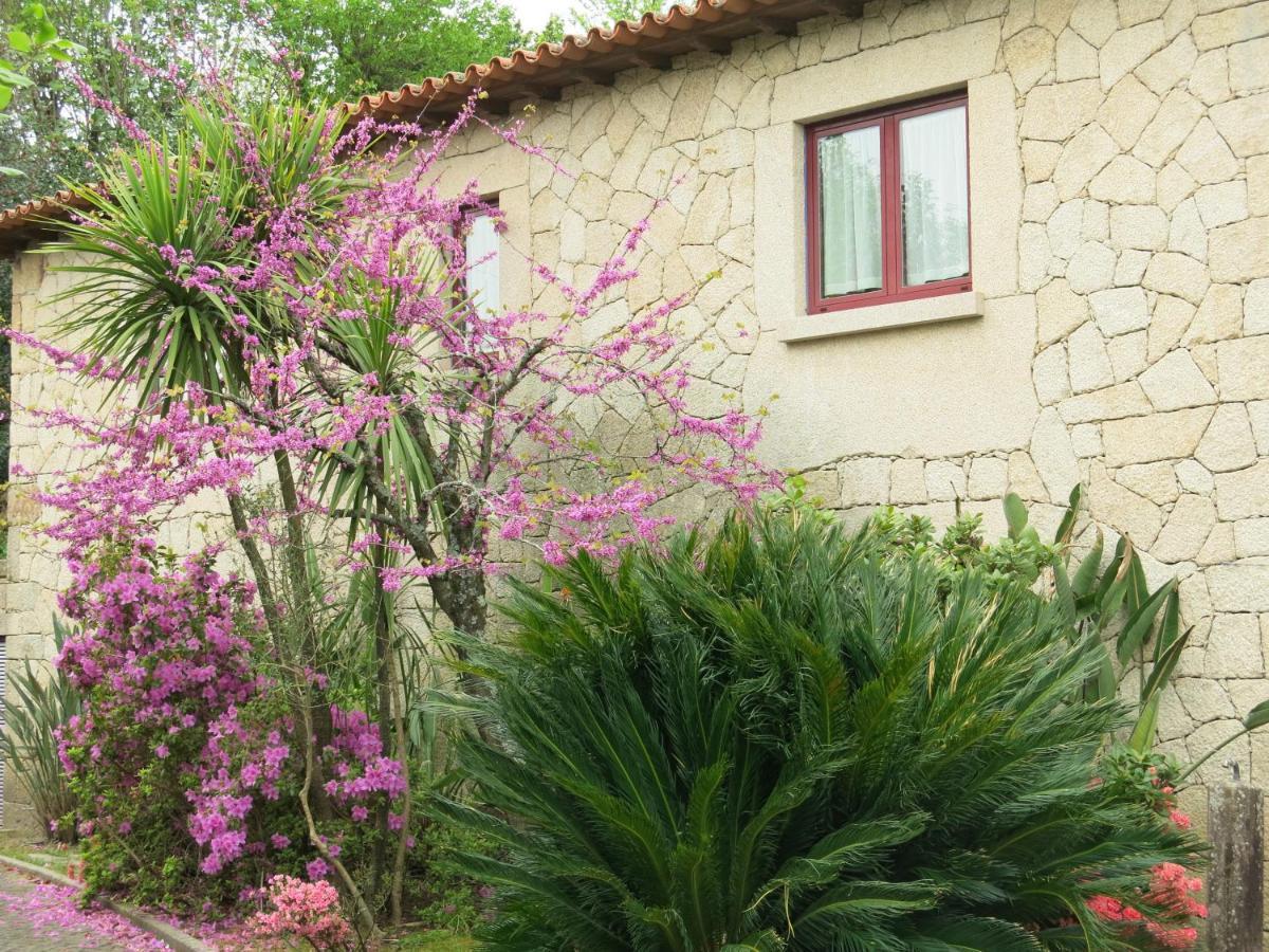 Casa Dos Tinocos Villa Braga Kültér fotó